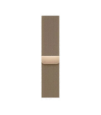 Apple Series 8 Watch 45mm Stainless Steel Case